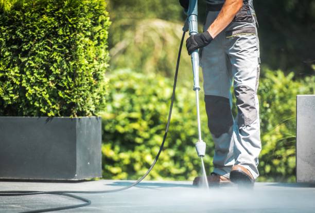 Best Animal Enclosure Cleaning  in Montevideo, MN