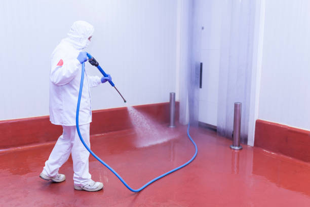 Best Graffiti Removal  in Montevideo, MN