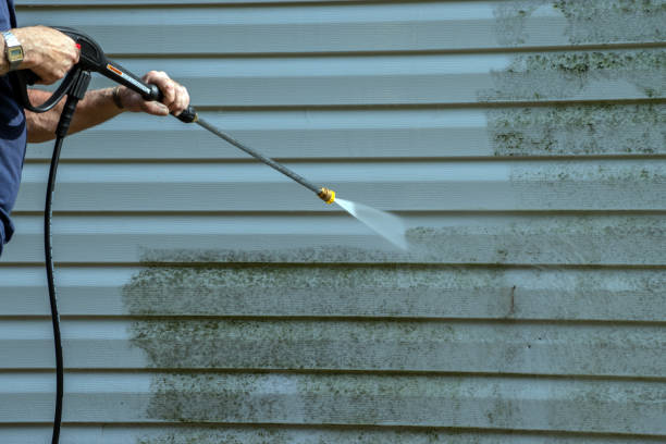 Best House Exterior Washing  in Montevideo, MN