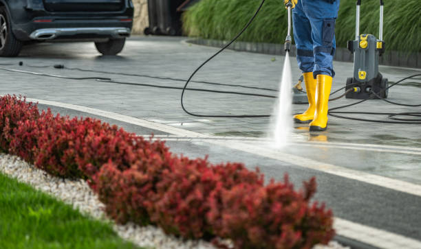Best Pool Deck Cleaning  in Montevideo, MN
